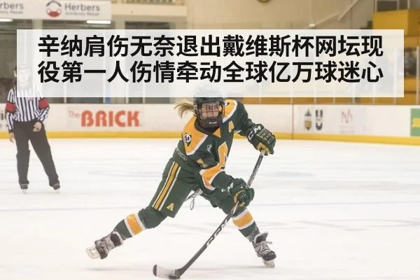辛纳肩伤无奈退出戴维斯杯网坛现役第一人伤情牵动全球亿万球迷心